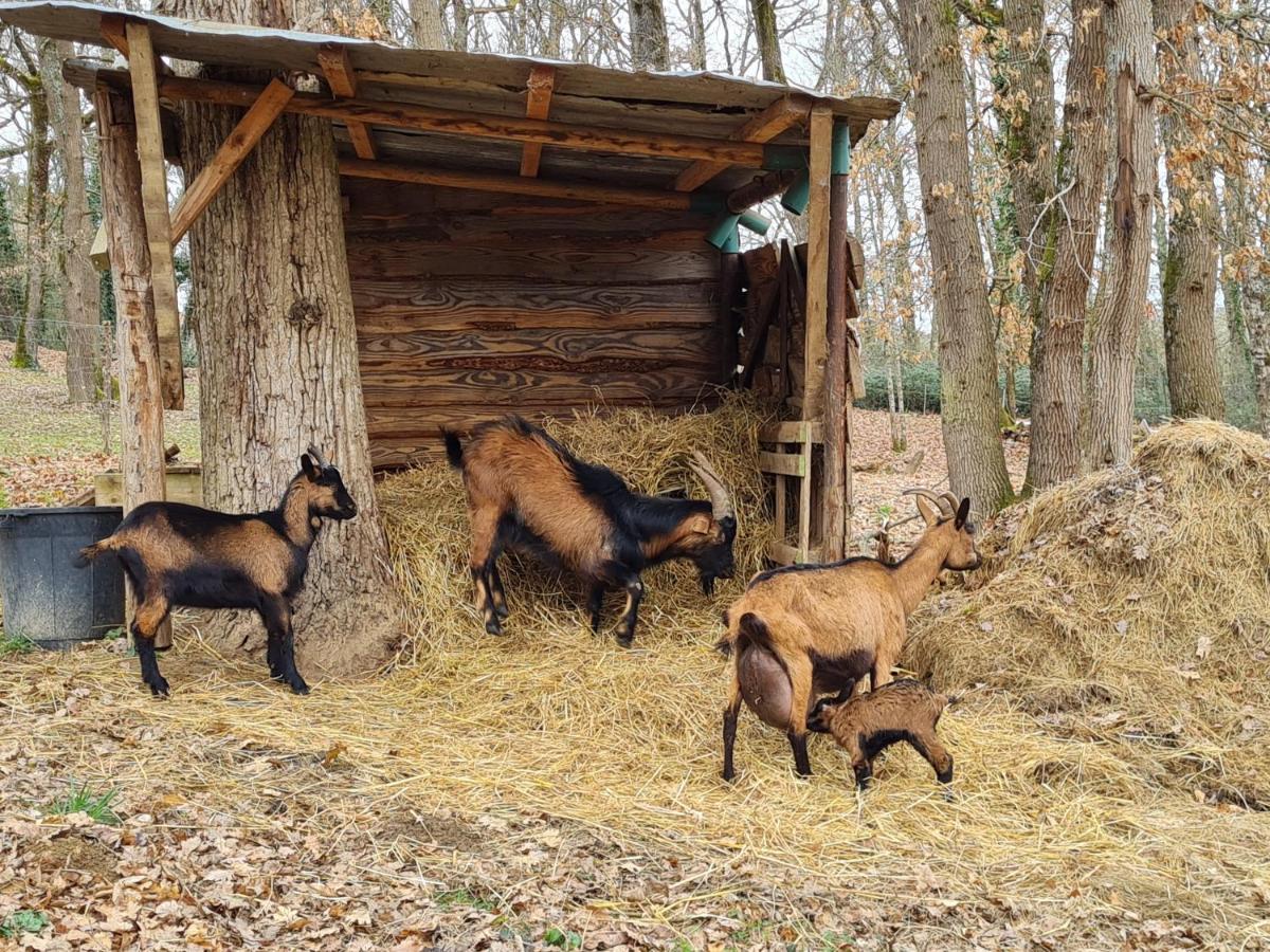 L Occitane Gimont Exterior foto